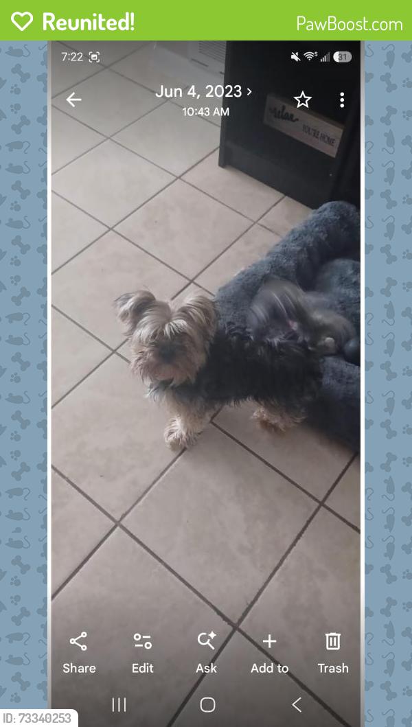 Reunited Male Dog last seen Near Crestview Dr, Casselberry, FL 32707, USA, Casselberry, FL 32707