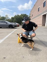Reunited Male Dog last seen Inwood and Lemon, Dallas, TX 75235