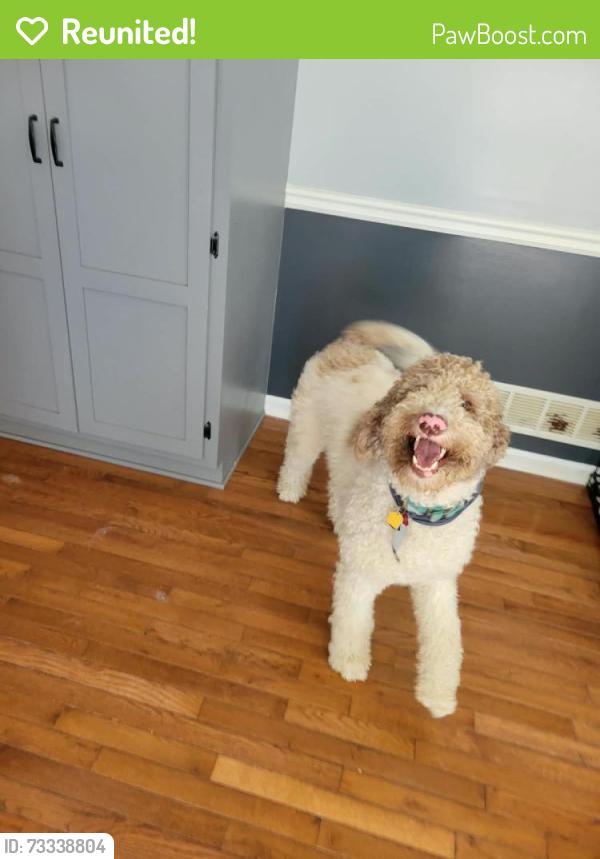 Reunited Male Dog last seen Greystone Lane, Douglasville, GA 30134