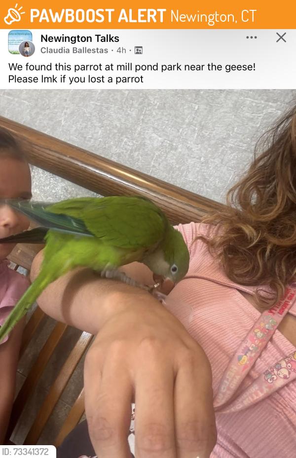Found/Stray Unknown Bird last seen Millpond Park, Newington, CT 06111