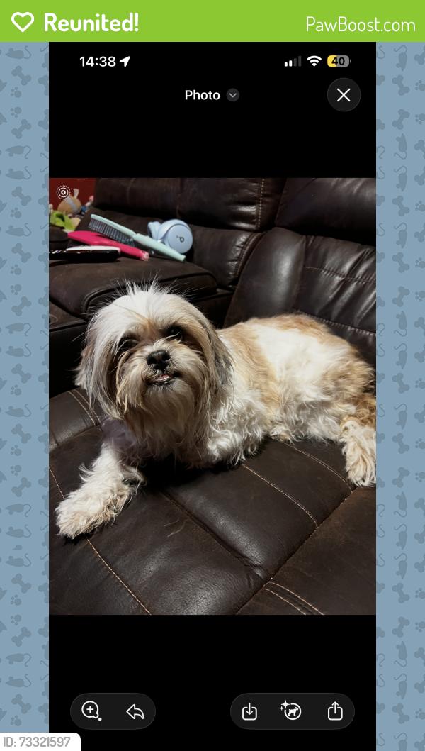 Reunited Female Dog last seen Delilah Ave, Socorro, TX 79927