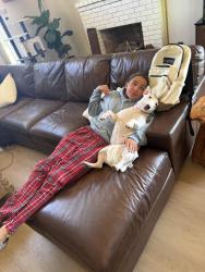 Reunited Female Dog last seen Sapphire and Hillside, Rancho Cucamonga, CA 91701