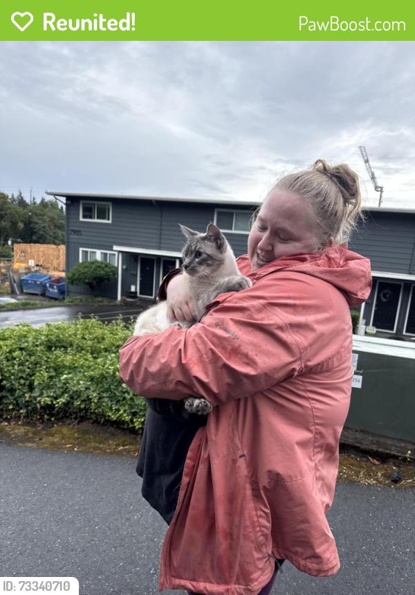 Reunited Male Cat last seen Evans street across from Boulevard Taphouse on Barbur, Portland, OR 97219