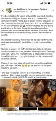 Lost Male Cat last seen North Geelong, North Geelong, VIC 3215