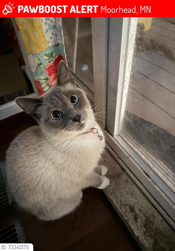 Lost Female Cat last seen Village green golf course, Moorhead, MN 56560