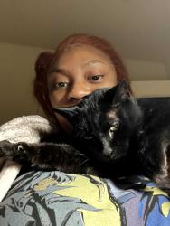 Lost Male Cat last seen Snafflebit, Haslet, TX 76052