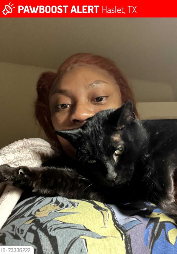 Lost Male Cat last seen Snafflebit, Haslet, TX 76052