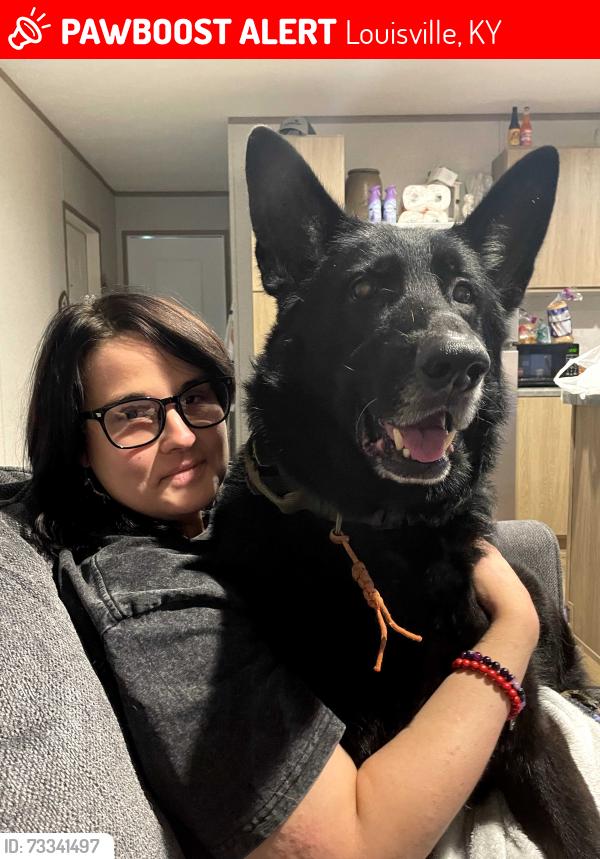 Lost Male Dog last seen Autumn Lake Pointe Mobile Home Park, Louisville, KY 40272
