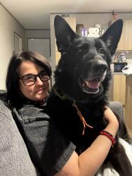 Lost Male Dog last seen Autumn Lake Pointe Mobile Home Park, Louisville, KY 40272