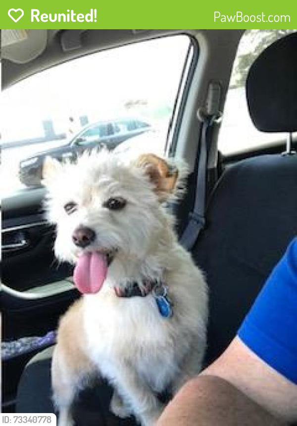 Reunited Female Dog last seen Near W Northcastle Cir, Conroe, TX 77384