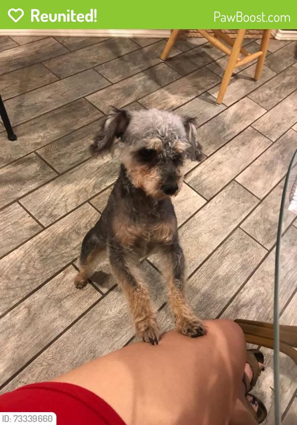 Reunited Male Dog last seen River Oaks, Fort Worth, TX 76114