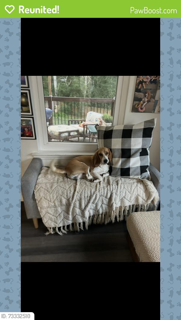 Reunited Male Dog last seen Sam’s Club on N Dale Mabry, Tampa, FL 33618