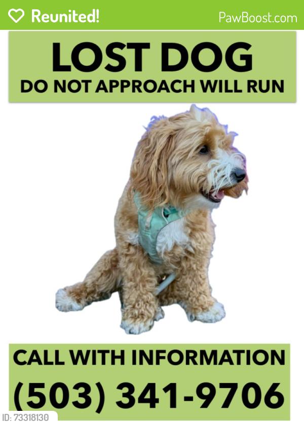 Reunited Male Dog last seen Capitol hwy and marigold, Portland, OR 97219