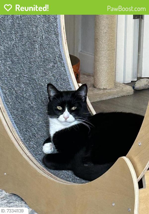 Reunited Male Cat last seen Sandy Lane, Warwick, RI 02889