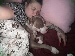 Reunited Female Dog last seen Beam, Maplewood, MN 55119