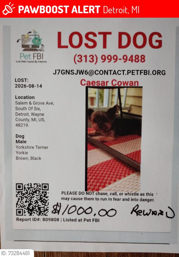 Lost Male Dog last seen Six Mile and Telegraph Detroit Michigan, Detroit, MI 48219