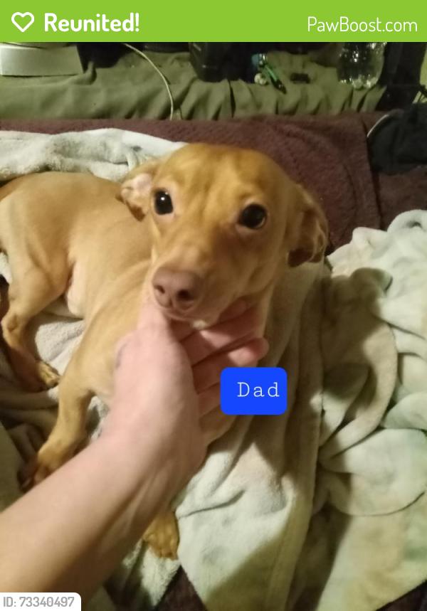 Reunited Male Dog last seen S.Sheilds Blvd, Oklahoma City, OK 73129