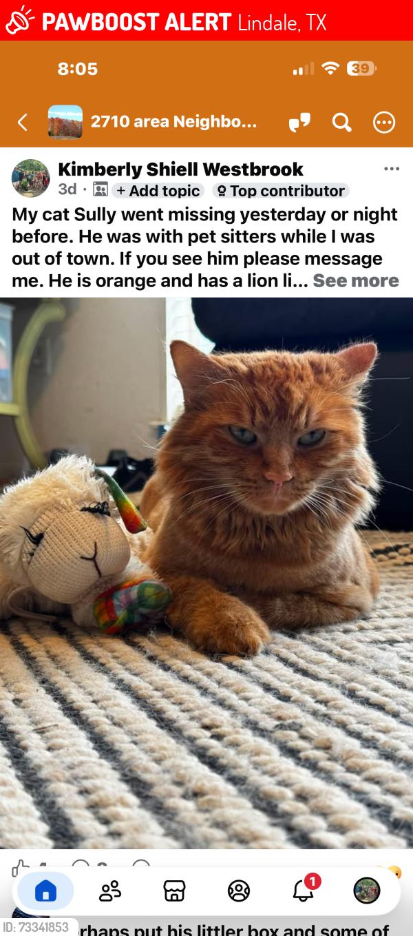 Lost Male Cat last seen CR 452 and CR 4125, Lindale, TX 75771