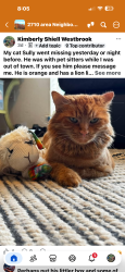 Lost Male Cat last seen CR 452 and CR 4125, Lindale, TX 75771