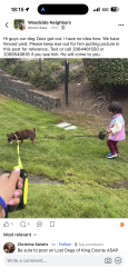 Lost Male Dog last seen 164th way, woodside neighborhood, Renton, WA 98058