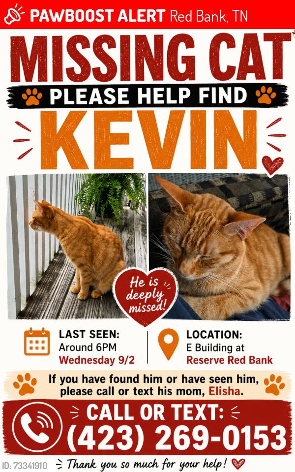 Lost Male Cat last seen Dayton Boulevard, Red Bank, TN 37415