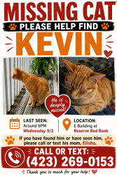 Lost Male Cat last seen Dayton Boulevard, Red Bank, TN 37415