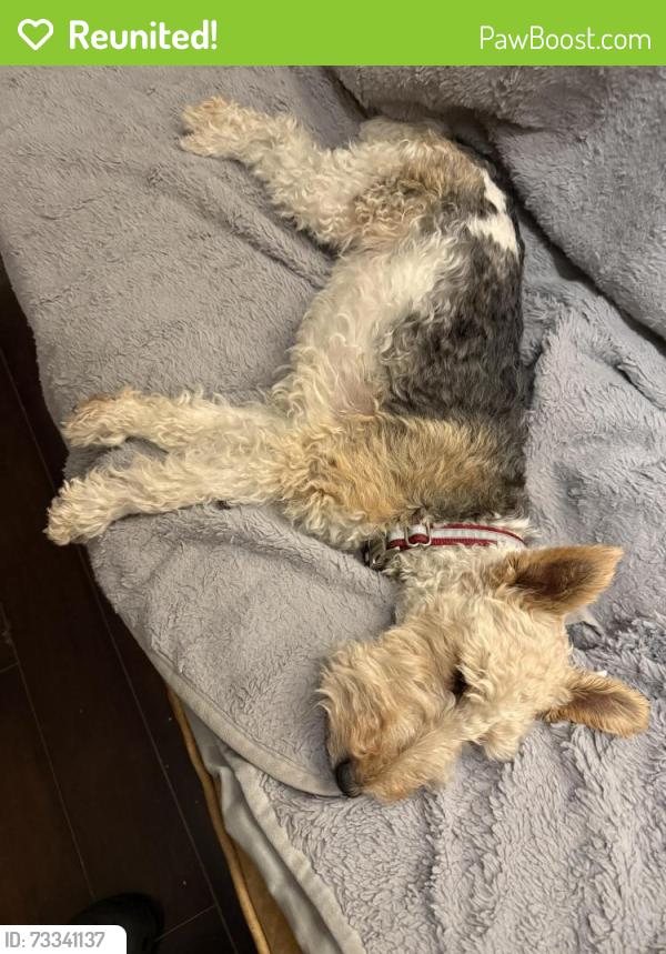 Reunited Male Dog last seen Homeward Hills, Eden Prairie, MN 55347