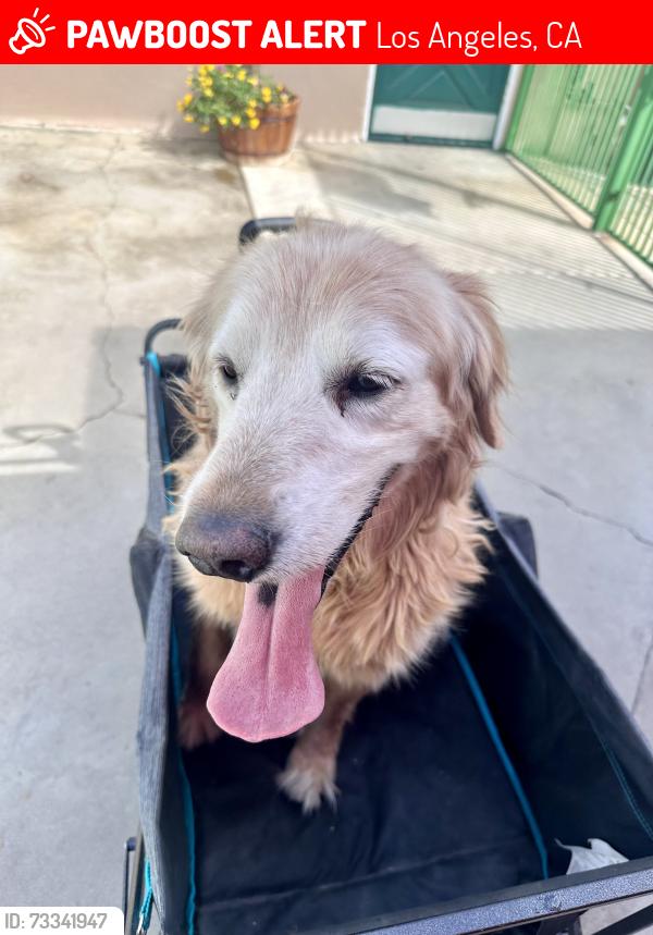 Lost Male Dog last seen Hubbard & Eldridge, Los Angeles, CA 91342
