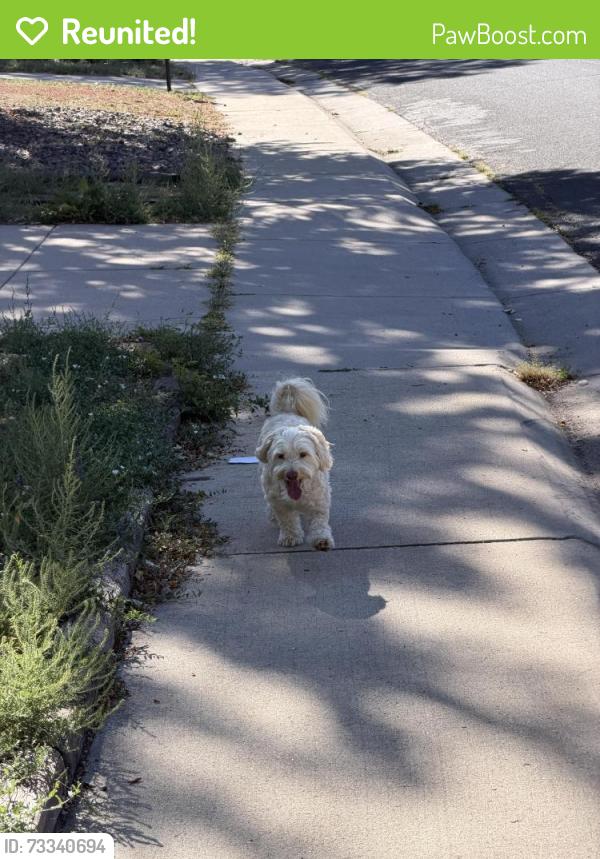 Reunited Unknown Dog last seen Espana St, Aurora, CO 80011