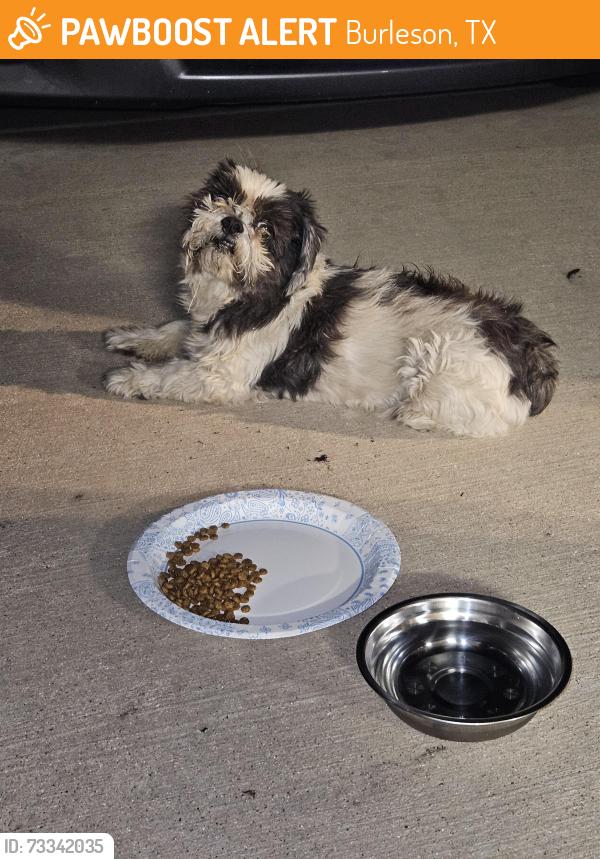 Found/Stray Unknown Dog last seen Greenridge, Burleson, TX 76028