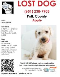 Lost Female Dog last seen VFW in Milltown, WI heading towards Balsam Lake, Milltown, WI 54858