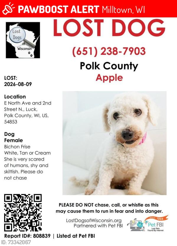 Lost Female Dog last seen VFW in Milltown, WI heading towards Balsam Lake, Milltown, WI 54858