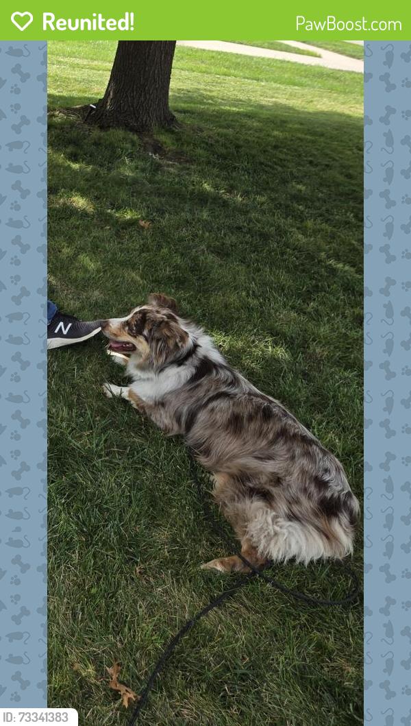 Reunited Male Dog last seen SW Misty Harbor drive 66610, Topeka, KS 66610