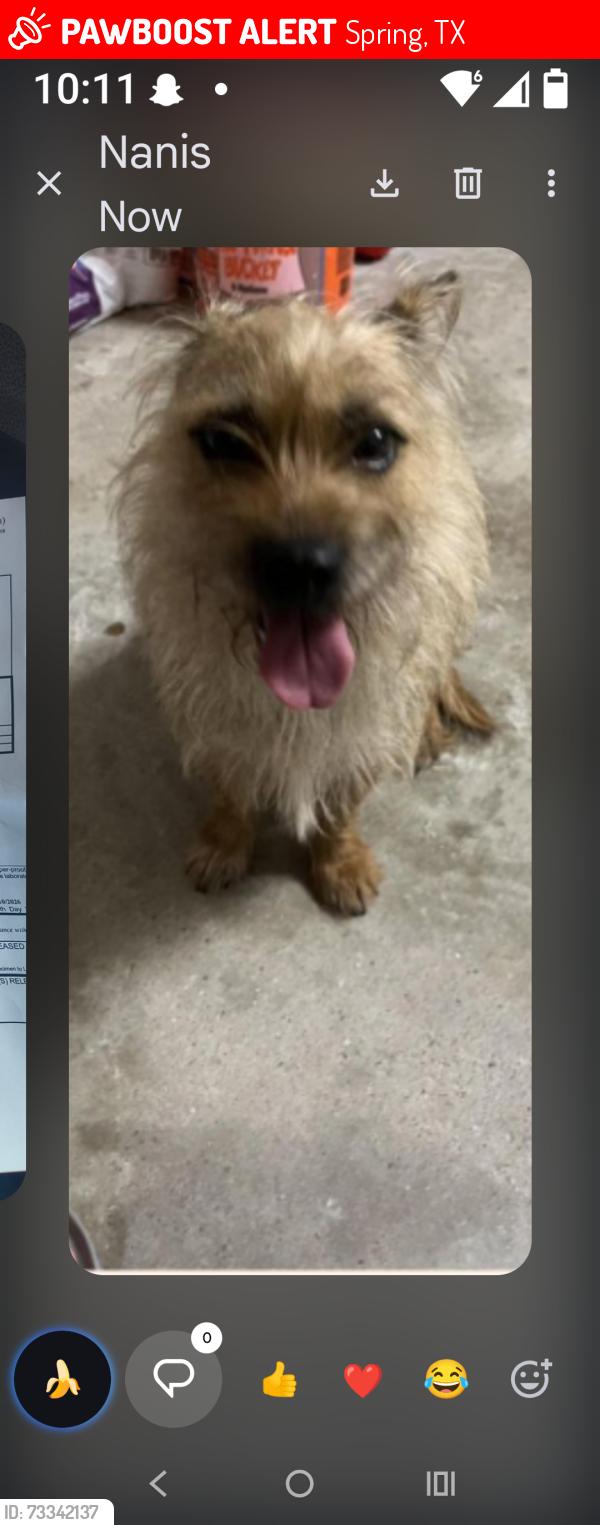 Lost Female Other last seen Brooktree ln, Spring, TX 77380