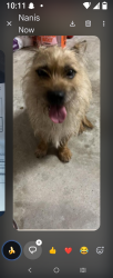 Lost Female Other last seen Brooktree ln, Spring, TX 77380