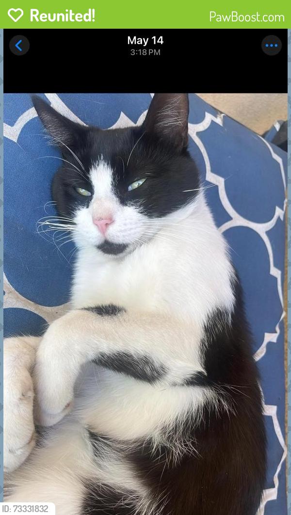 Reunited Male Cat last seen E Marshall blvd & waterman, San Bernardino, CA 92404