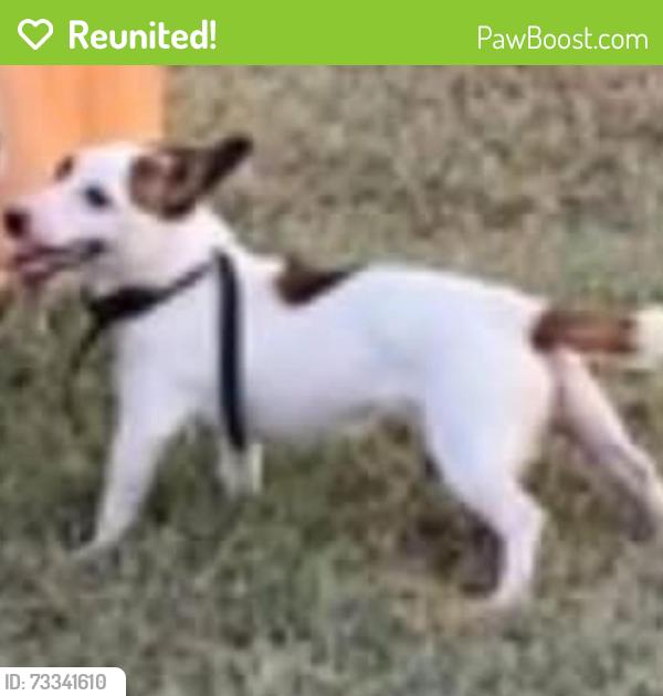Reunited Male Dog last seen Near fm 878 Waxahachie Tx 75165, Waxahachie, TX 75165