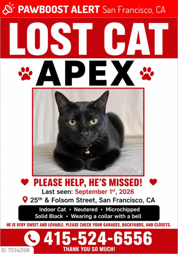 Lost Male Cat last seen 25th and folsom, San Francisco, CA 94110