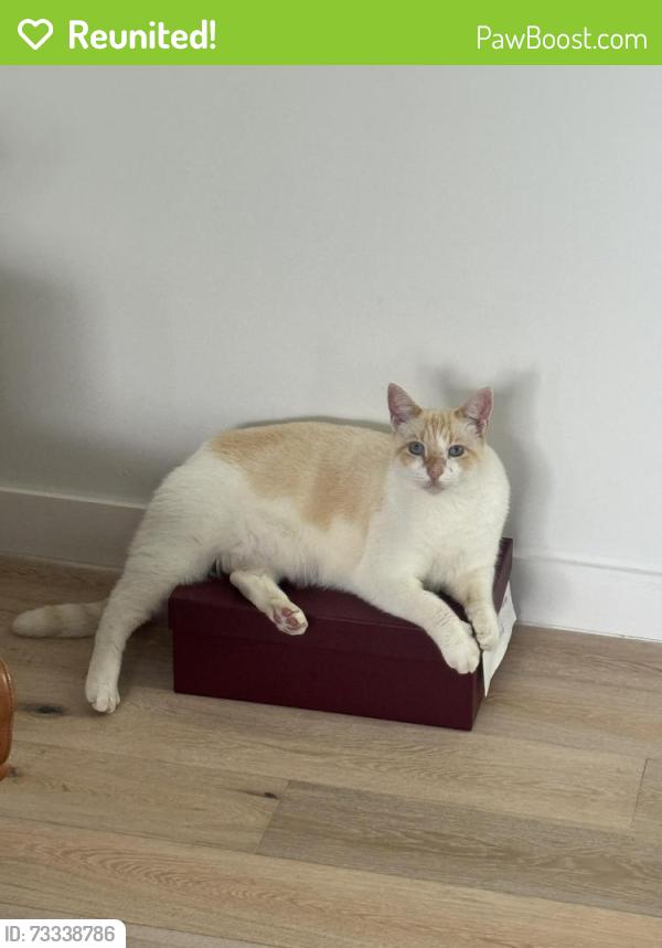 Reunited Male Cat last seen Arch creek dr & Ortega lane, North Miami, FL 33181
