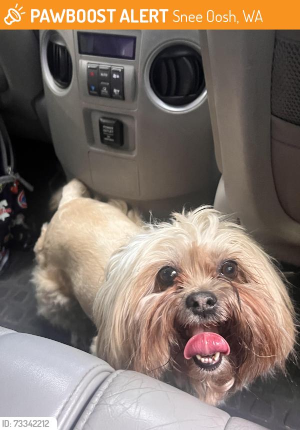 Found/Stray Female Dog last seen Snee-Oosh Road and Thousand Trails, Snee Oosh, WA 98257