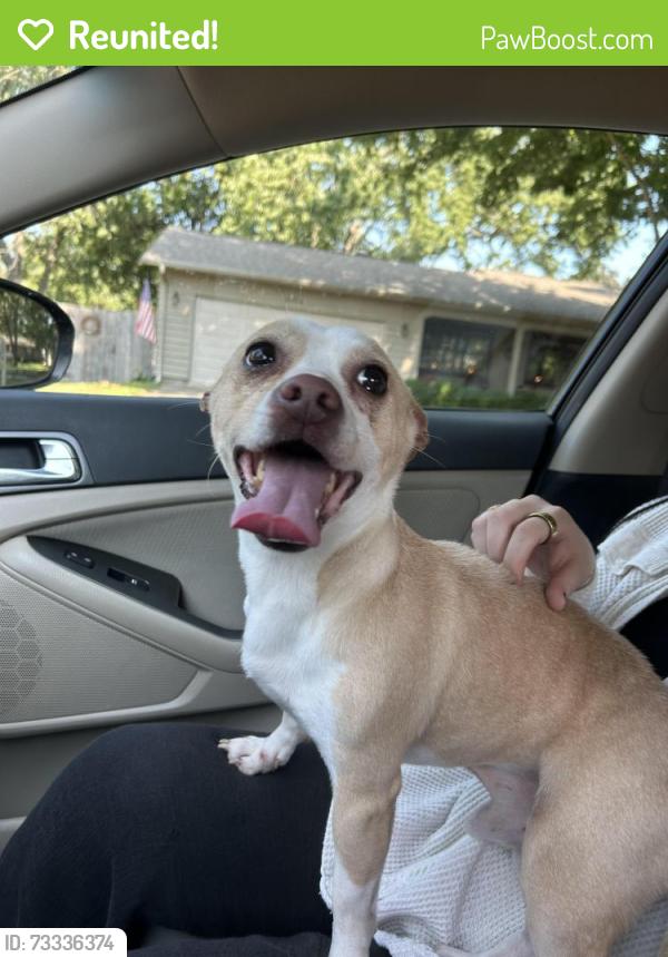 Reunited Male Dog last seen Corner of Branch and Rebecca, Champaign, Illinois, Champaign, IL 61821