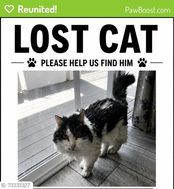 Reunited Male Cat last seen Giverny Sandy, Cottonwood Heights, UT 84121