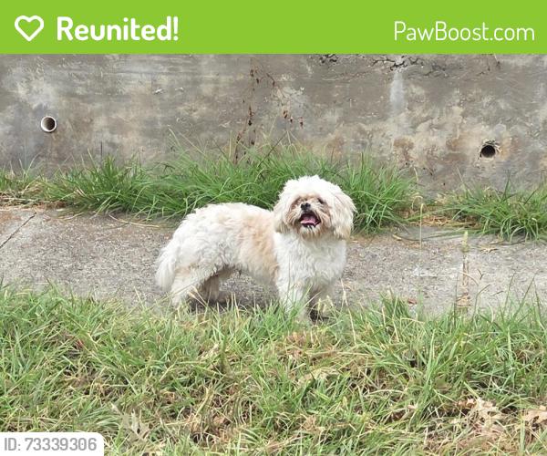 Reunited Male Dog last seen Courageous and Intrepid Ln, Rowlett, TX 75089