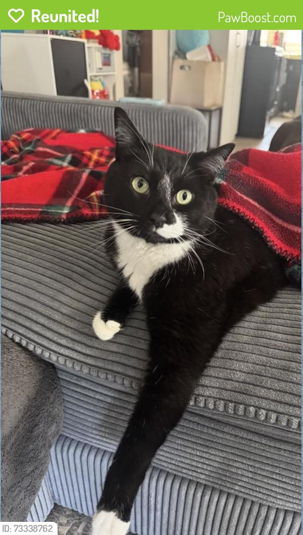 Reunited Male Cat last seen Off of Atwood Ave, near Saint Rocco’s, Johnston, RI 02919