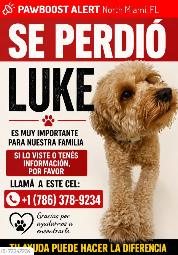Lost Male Dog last seen Near NE 128 Street, North Miami FL 33161, North Miami, FL 33161