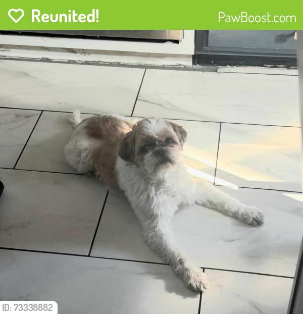 Reunited Male Dog last seen Corona del Sol & Camino del Sol, El Paso, TX 79911