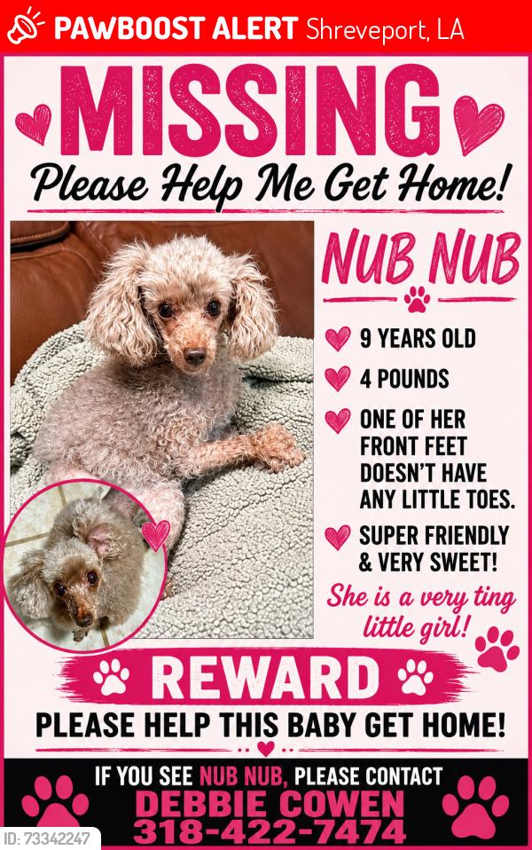Lost Female Dog last seen Dixie Garden loop, Shreveport, LA 71105