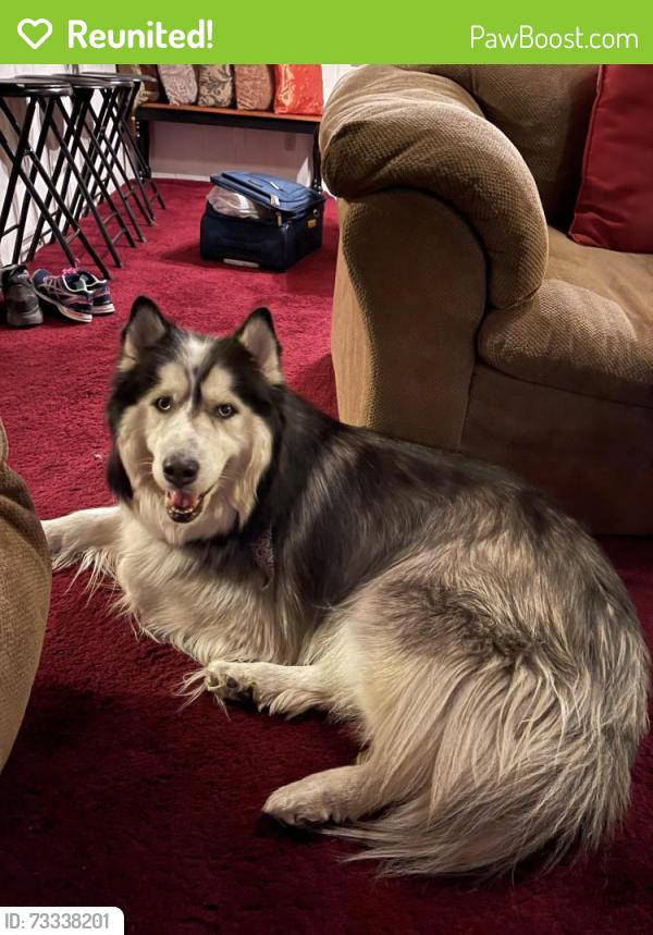 Reunited Male Dog last seen el norte parkway and woodland parkway, Escondido, CA 92026