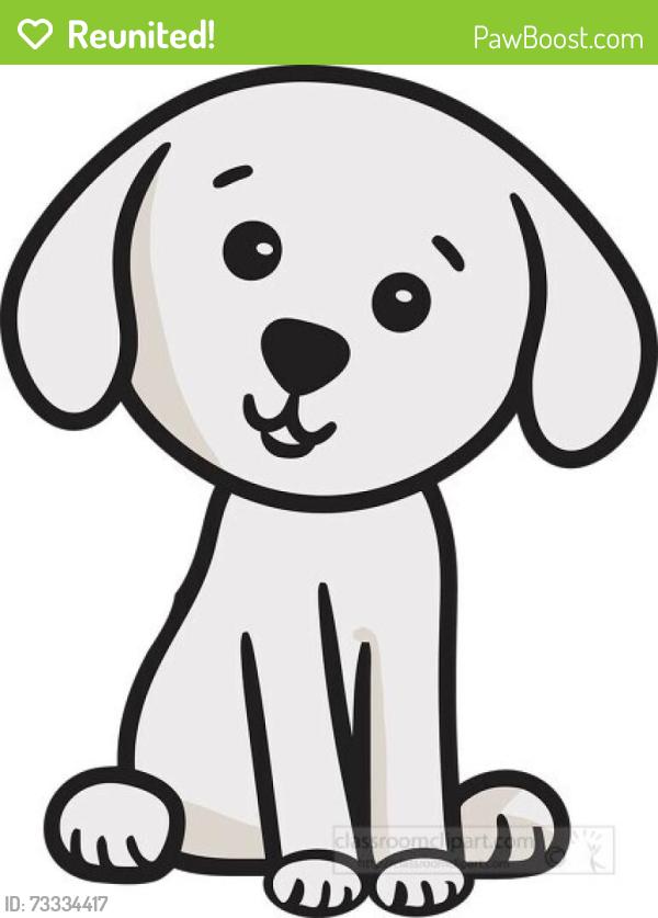 Reunited Female Dog last seen Tennessee Ave and Van Buren Street, New Port Richey, FL 34652