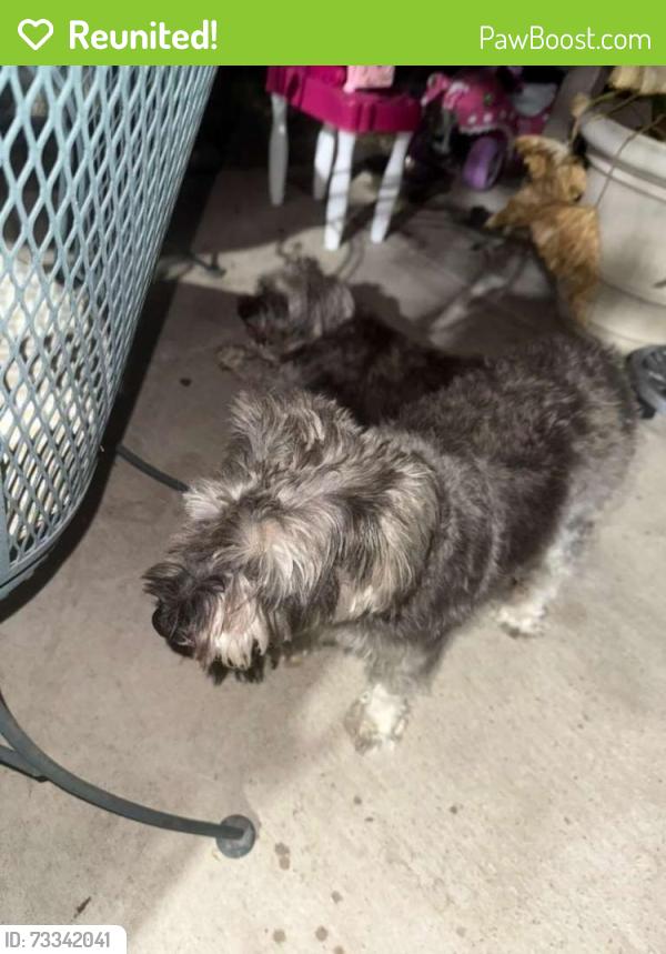 Reunited Male Dog last seen Catskill, Mesquite, TX 75149